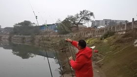 奉節(jié)臍橙，一口甜入心扉