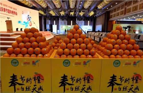母樹天價(jià)背后的橙香遺珍 一顆根號(hào)二奉節(jié)臍橙的價(jià)值解讀
