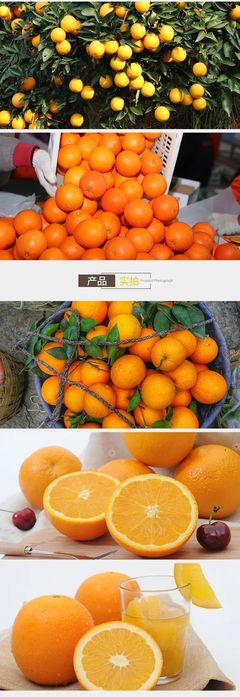 根號(hào)二奉節(jié)臍橙 產(chǎn)地直發(fā)，鮮甜直達(dá)你手中的正宗味道